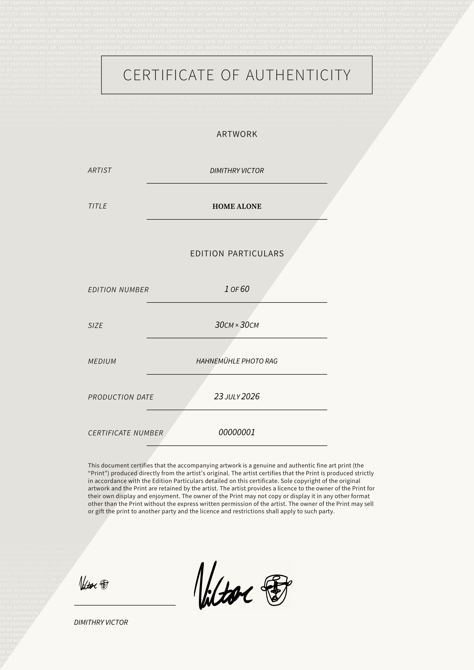 Home Alone — Certificate of Authenticity